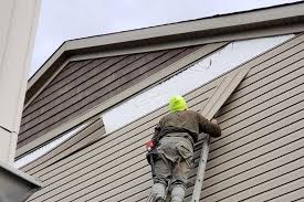 Affordable Siding Repair and Maintenance Services in Pleak, TX